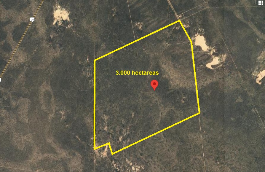 CAMPO GANADERO EN CATAMARCA U$130 X HECTAREA