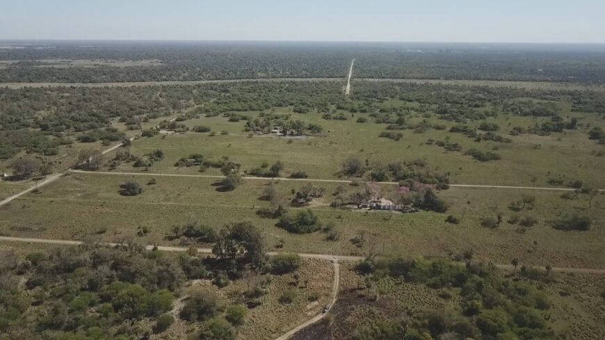 campo mixto 2000 has. cerca de Rcia Chaco