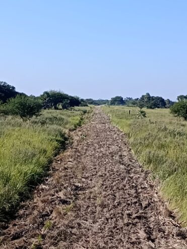 campo mixto 2000 has. cerca de Rcia Chaco