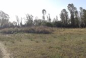 CAMPO 250 HAS – VILLARINO – u$s 1200