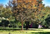 Vendo Fracción de 8000m2 en Pilar zona Polo GBA Norte