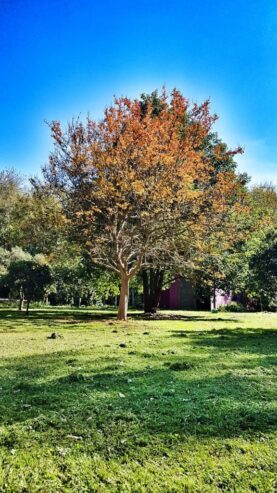 Vendo Fracción de 8000m2 en Pilar zona Polo GBA Norte