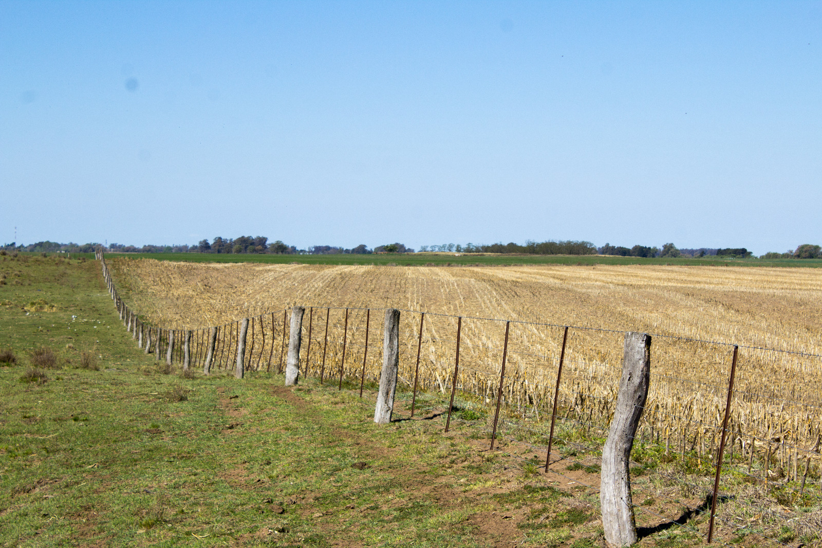 Se Venden 135 ha agrícolas en Catrilo. La Pampa