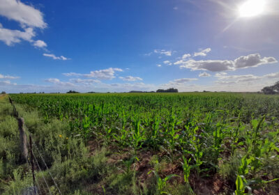 IMG-20240608-WA0002