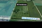 Venta de campo