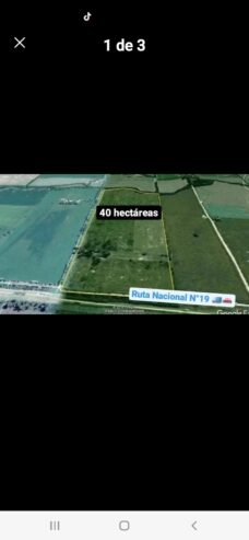 Venta de campo