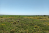 Campo Ganadero En Arrendamiento En Corrientes