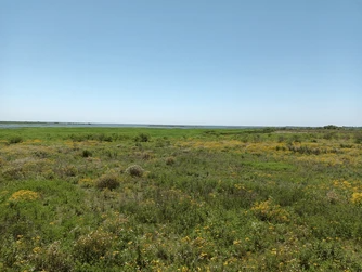 Campo Ganadero En Arrendamiento En Corrientes