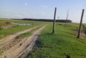 Campo Ganadero En Arrendamiento En Corrientes
