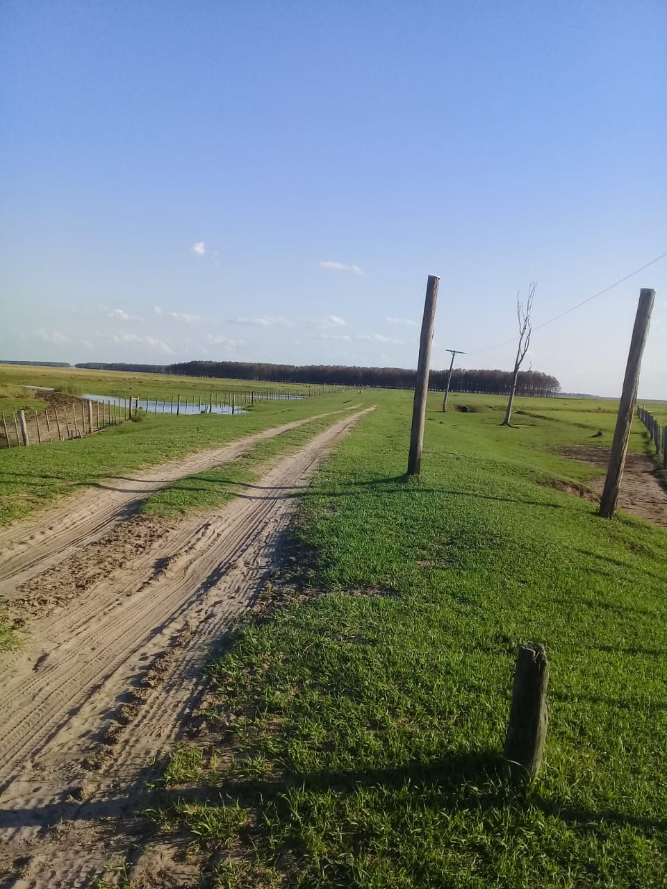 Campo Ganadero En Arrendamiento En Corrientes