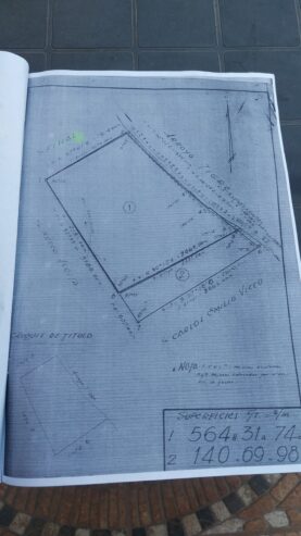 Vendo campo en isla entre rios