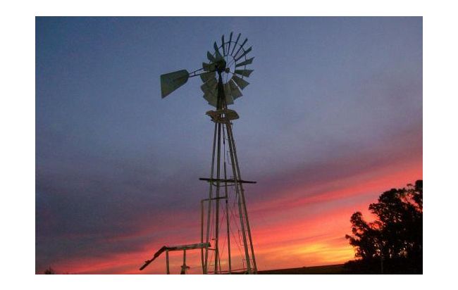 CAMPO 250 HAS – VILLARINO – u$s 1200
