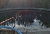 Se Venden 2 campos de 2500 has c/u pegados en Limay Mahuida. Pcia de La Pampa u$s120 por hectárea