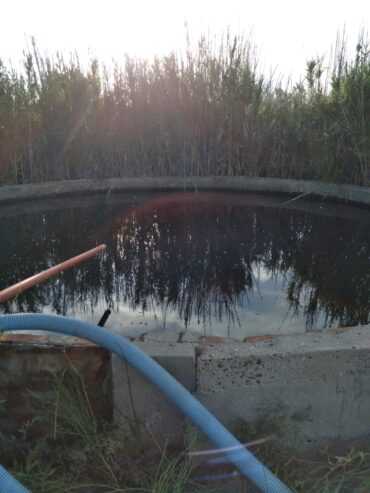 Se Venden 2 campos de 2500 has c/u pegados en Limay Mahuida. Pcia de La Pampa u$s120 por hectárea