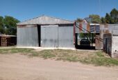 Inmobiliaria Vende 1713 Has Mixtas. Villa Iris. Puán. Receptividad 500 vacas. u$s853 la ha
