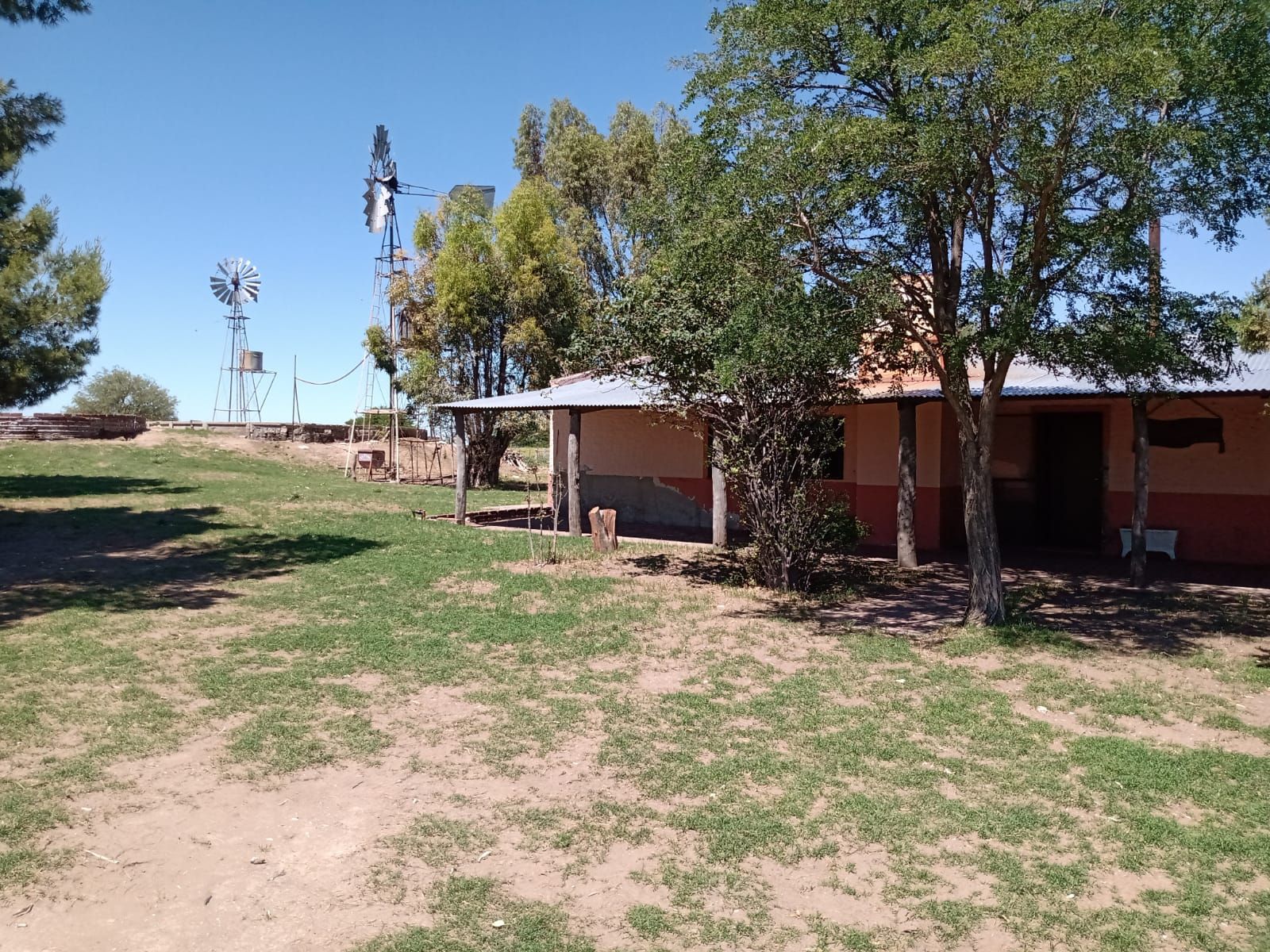 Inmobiliaria Vende 1713 Has Mixtas. Villa Iris. Puán. Receptividad 500 vacas. u$s853 la ha