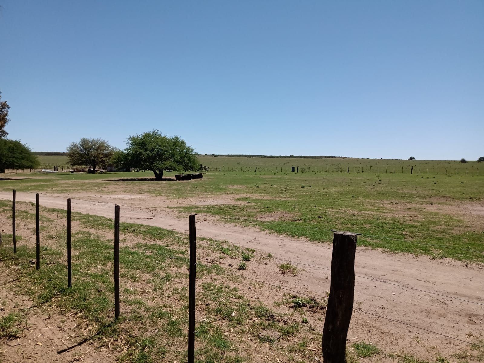 Inmobiliaria Vende 1713 Has Mixtas. Villa Iris. Puán. Receptividad 500 vacas. u$s853 la ha