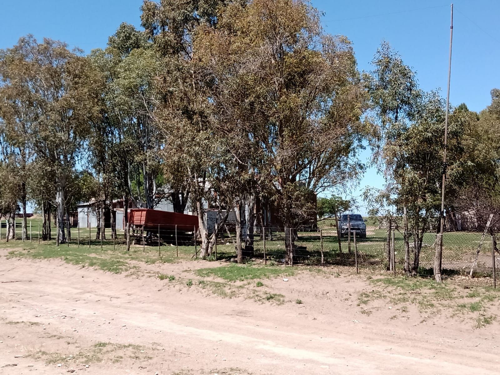 Inmobiliaria Vende 1713 Has Mixtas. Villa Iris. Puán. Receptividad 500 vacas. u$s853 la ha