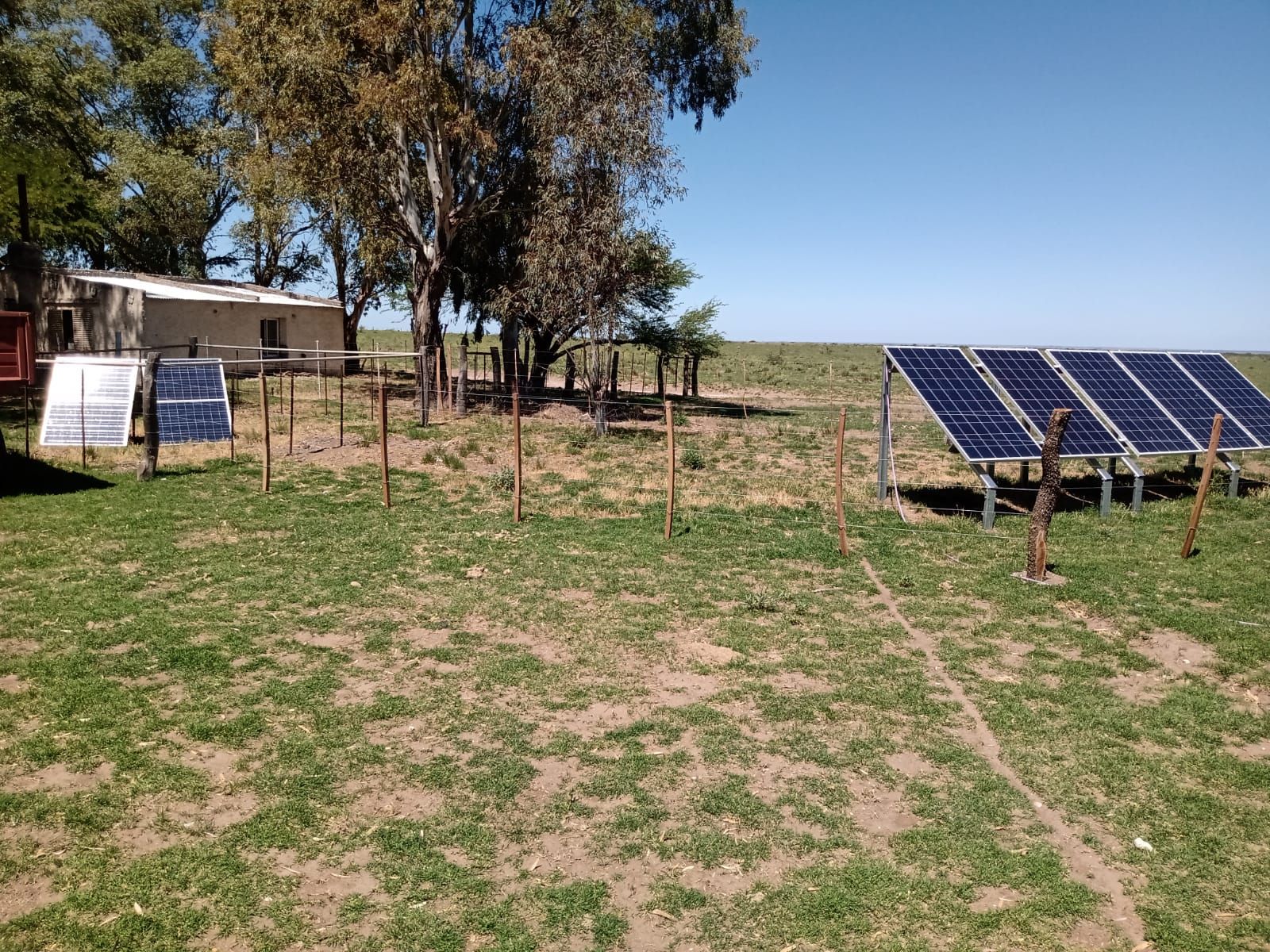 Inmobiliaria Vende 1713 Has Mixtas. Villa Iris. Puán. Receptividad 500 vacas. u$s853 la ha