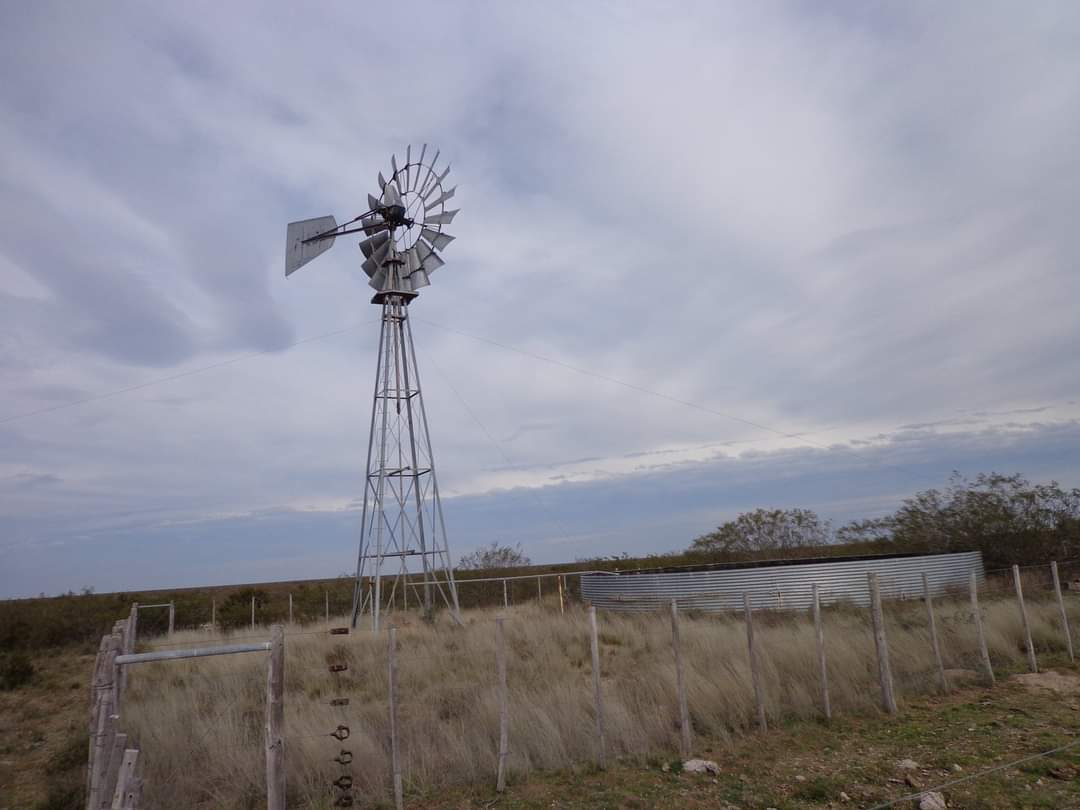 CAMPO En VENTA!!! Campo de secano. a 15 kms de Choele Choel (R.N.). 6000 hectáreas. Un juego de corrales. Molinos. Aguadas. Vivienda precaria. Por consultas (0299) 4041692