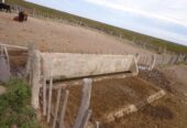 CAMPO En VENTA!!! Campo de secano. a 15 kms de Choele Choel (R.N.). 6000 hectáreas. Un juego de corrales. Molinos. Aguadas. Vivienda precaria. Por consultas (0299) 4041692