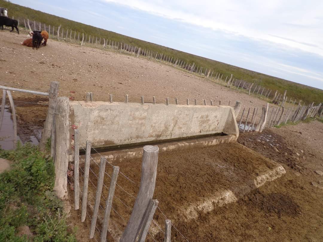 CAMPO En VENTA!!! Campo de secano. a 15 kms de Choele Choel (R.N.). 6000 hectáreas. Un juego de corrales. Molinos. Aguadas. Vivienda precaria. Por consultas (0299) 4041692