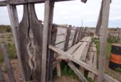 CAMPO En VENTA!!! Campo de secano. a 15 kms de Choele Choel (R.N.). 6000 hectáreas. Un juego de corrales. Molinos. Aguadas. Vivienda precaria. Por consultas (0299) 4041692