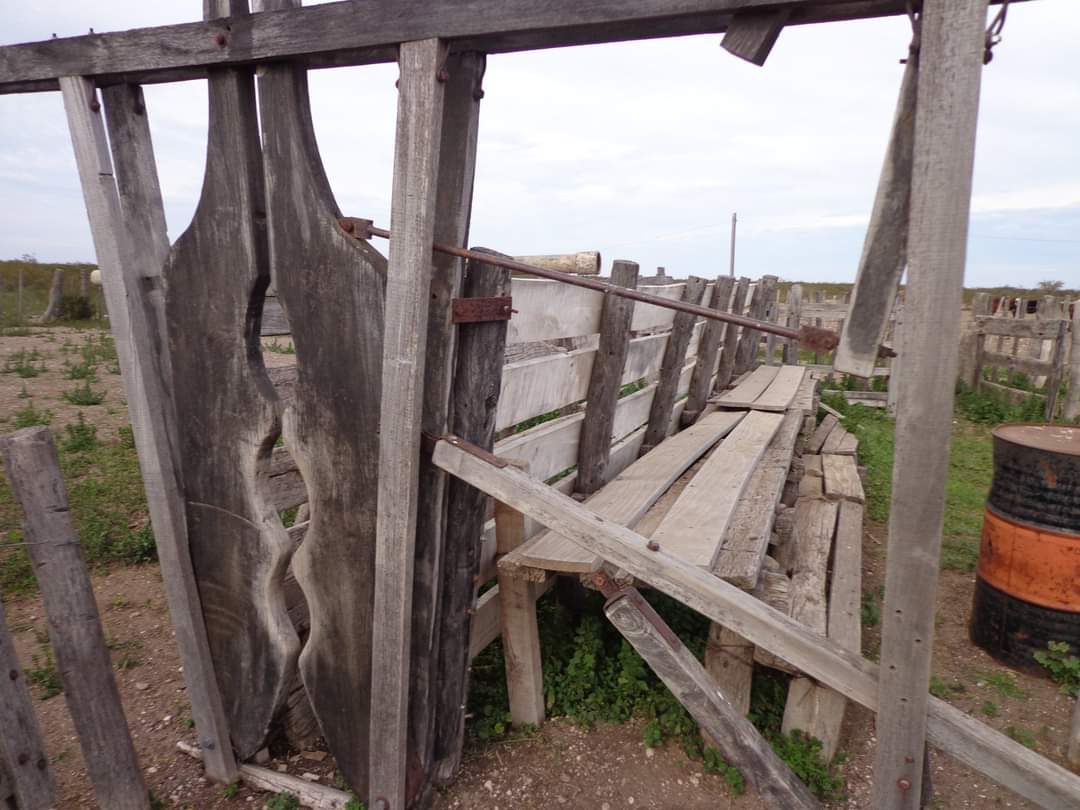 CAMPO En VENTA!!! Campo de secano. a 15 kms de Choele Choel (R.N.). 6000 hectáreas. Un juego de corrales. Molinos. Aguadas. Vivienda precaria. Por consultas (0299) 4041692