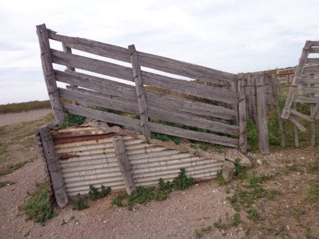 CAMPO En VENTA!!! Campo de secano. a 15 kms de Choele Choel (R.N.). 6000 hectáreas. Un juego de corrales. Molinos. Aguadas. Vivienda precaria. Por consultas (0299) 4041692