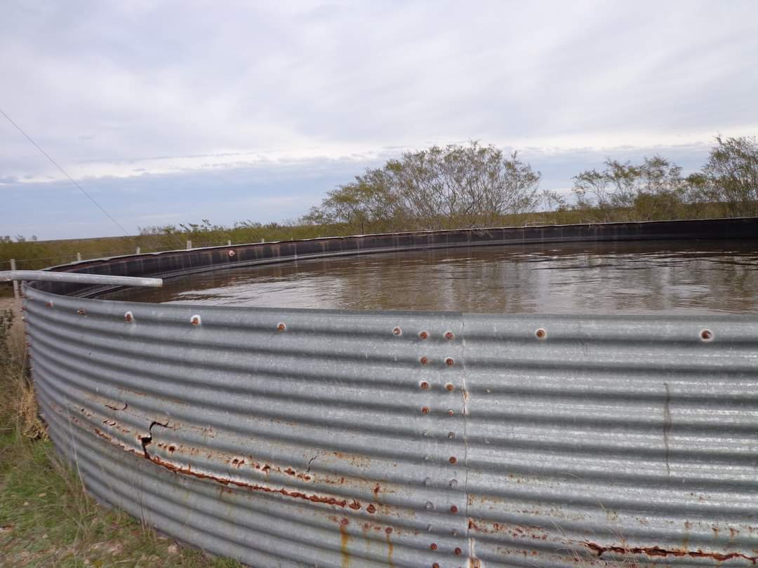 CAMPO En VENTA!!! Campo de secano. a 15 kms de Choele Choel (R.N.). 6000 hectáreas. Un juego de corrales. Molinos. Aguadas. Vivienda precaria. Por consultas (0299) 4041692