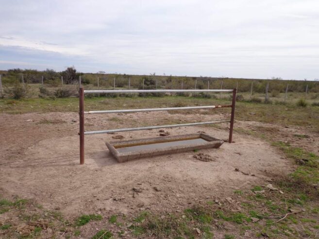 CAMPO En VENTA!!! Campo de secano. a 15 kms de Choele Choel (R.N.). 6000 hectáreas. Un juego de corrales. Molinos. Aguadas. Vivienda precaria. Por consultas (0299) 4041692