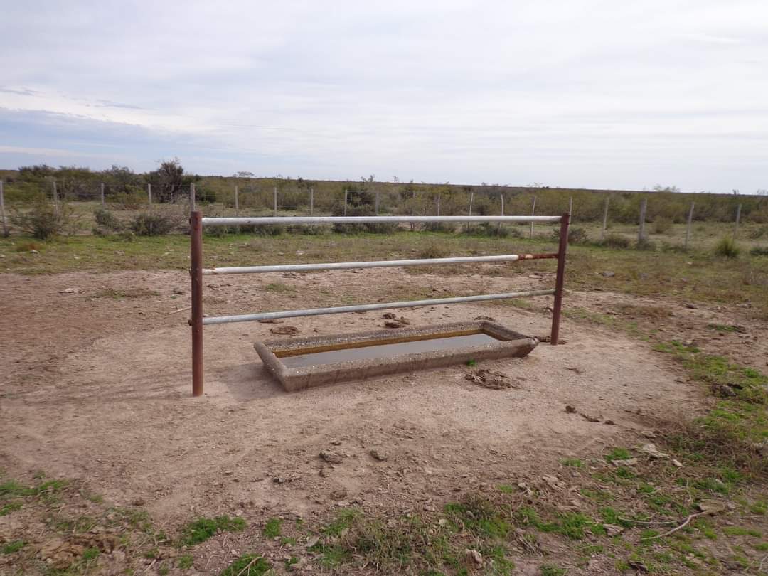 CAMPO En VENTA!!! Campo de secano. a 15 kms de Choele Choel (R.N.). 6000 hectáreas. Un juego de corrales. Molinos. Aguadas. Vivienda precaria. Por consultas (0299) 4041692