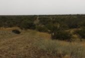 Se Vende Coto de Caza de 1435 Has en Bernasconi pcia de La Pampa