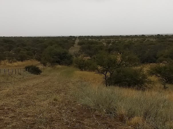 Se Vende Coto de Caza de 1435 Has en Bernasconi pcia de La Pampa