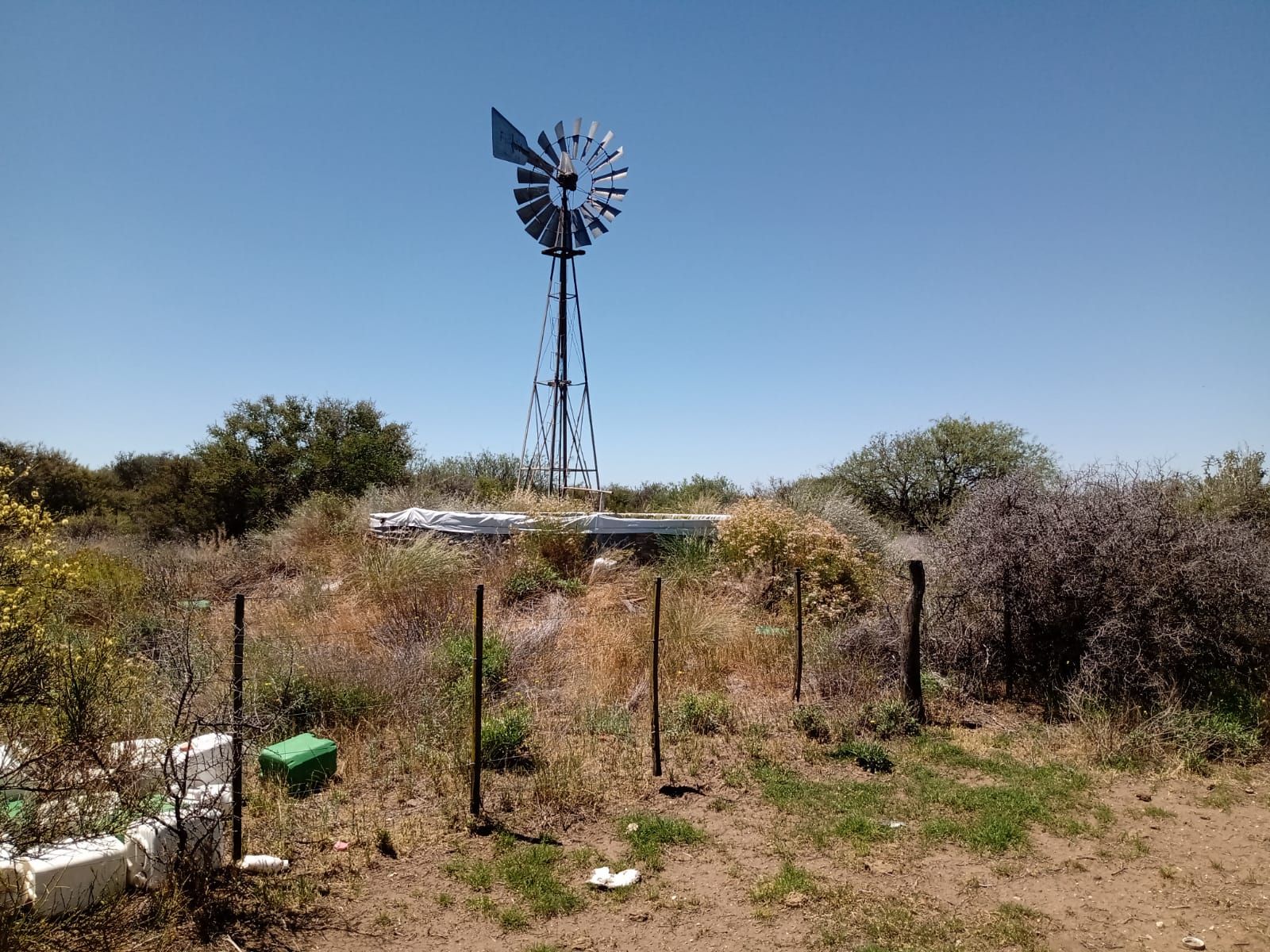 Inmobiliaria Vende 1713 Has Mixtas. Villa Iris. Puán. Receptividad 500 vacas. u$s853 la ha