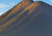 OPORTUNIDAD Campo 178ha Traslasierra