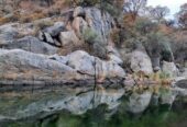 OPORTUNIDAD Campo 178ha Traslasierra