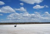 Vendo campo ganadero de 6780 Has cruzado por arroyo