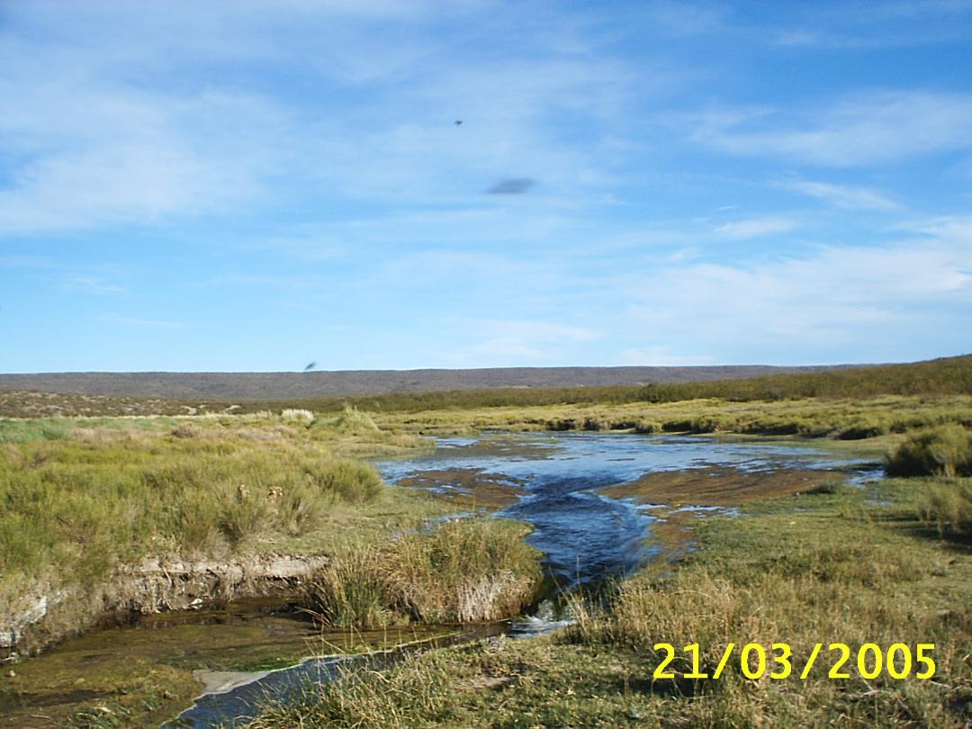 Vendo campo ganadero de 6780 Has cruzado por arroyo