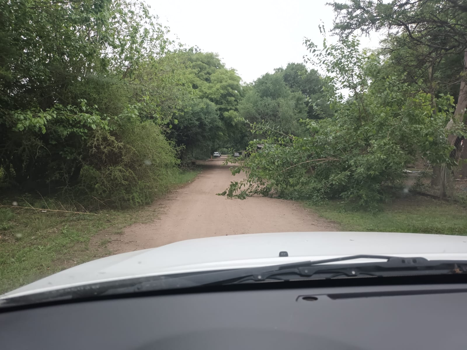 VENDO 820 HA.LA VIÑA SALTA