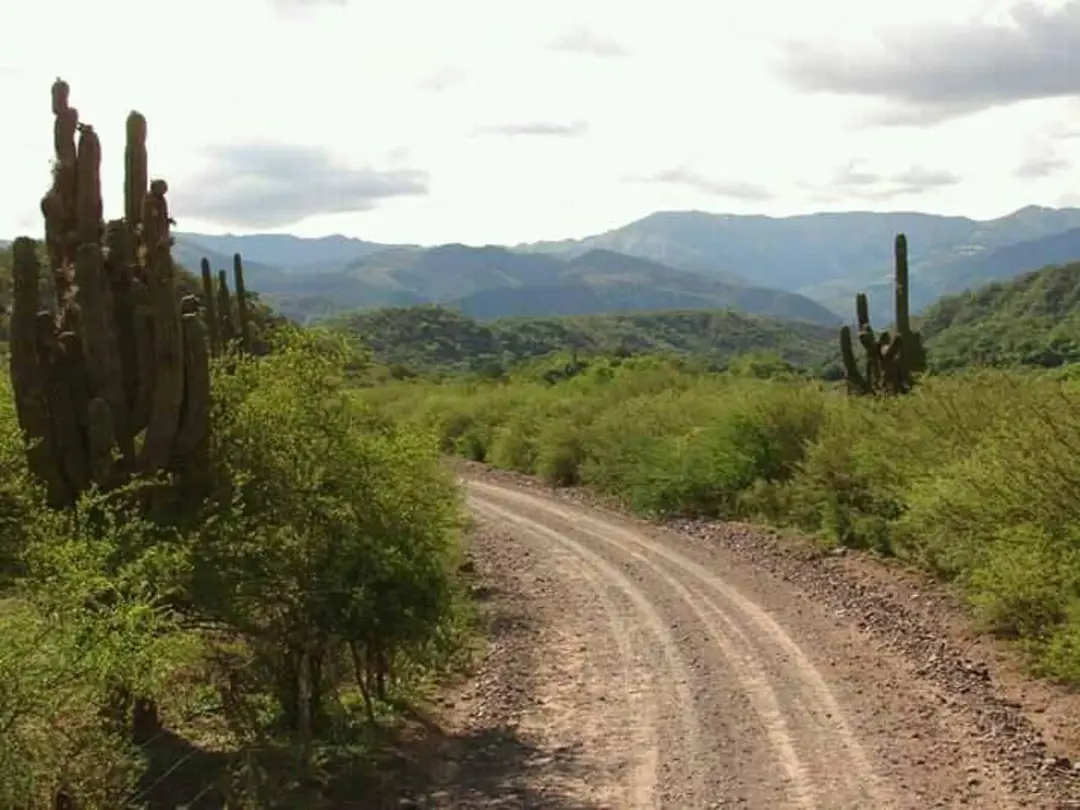 VENDO 820 HA.LA VIÑA SALTA