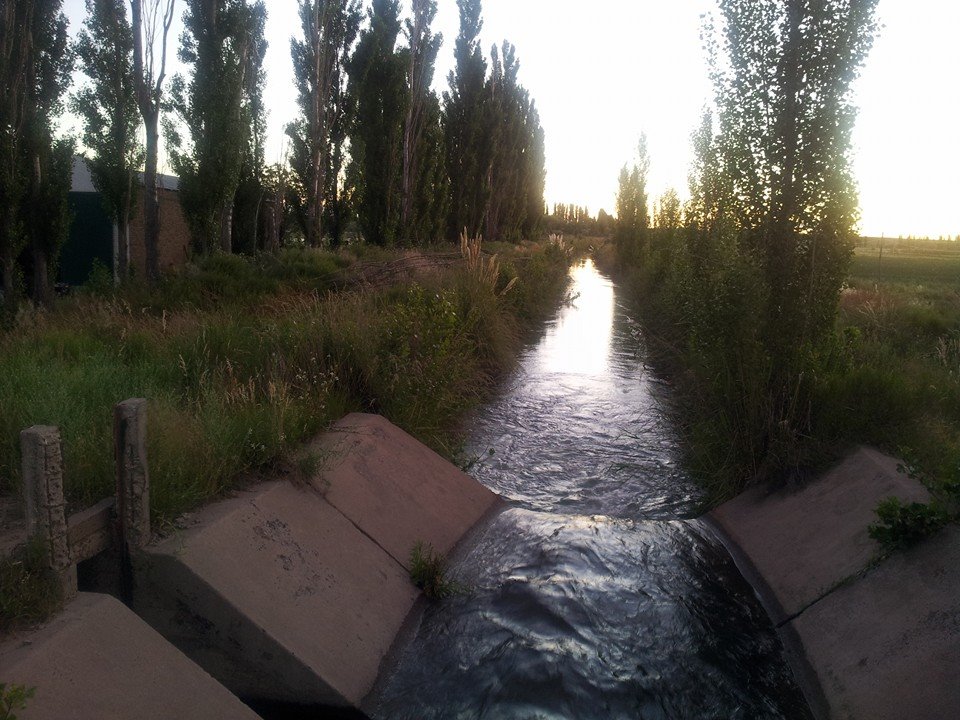 Oportunidad!! En Gral Conesa Chacras En Produccion , Vendo , Permuto, Financio !! DUEÑO DIRECTO