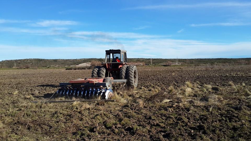 Oportunidad!! En Gral Conesa Chacras En Produccion , Vendo , Permuto, Financio !! DUEÑO DIRECTO