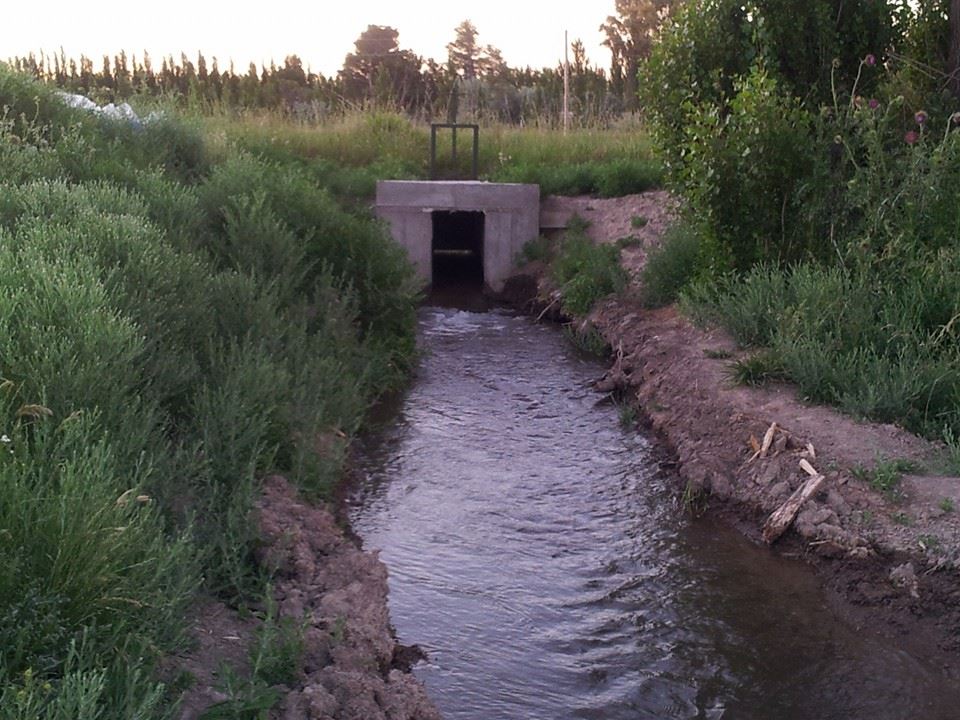 Oportunidad!! En Gral Conesa Chacras En Produccion , Vendo , Permuto, Financio !! DUEÑO DIRECTO