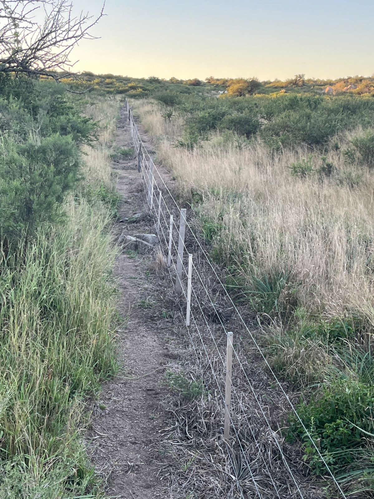 CAMPO GANADERO EN VENTA EN CORDOBA PAMPA DE POCHO TRASLASIERRAS