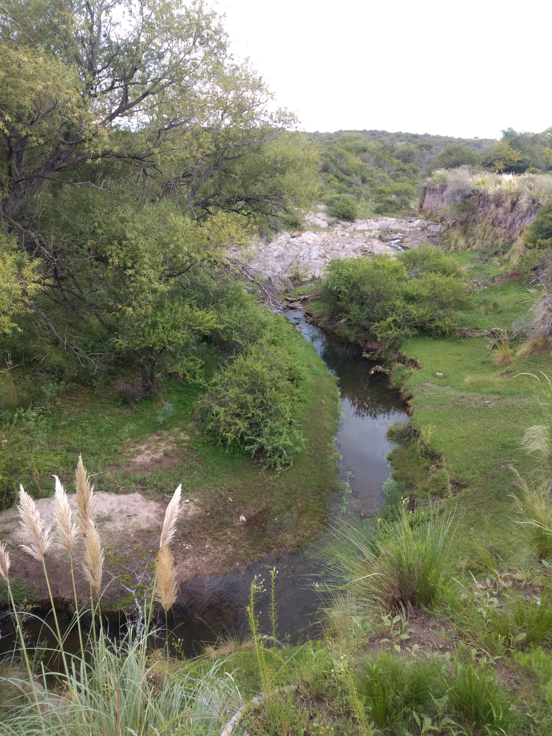 CAMPO GANADERO EN VENTA EN CORDOBA PAMPA DE POCHO TRASLASIERRAS