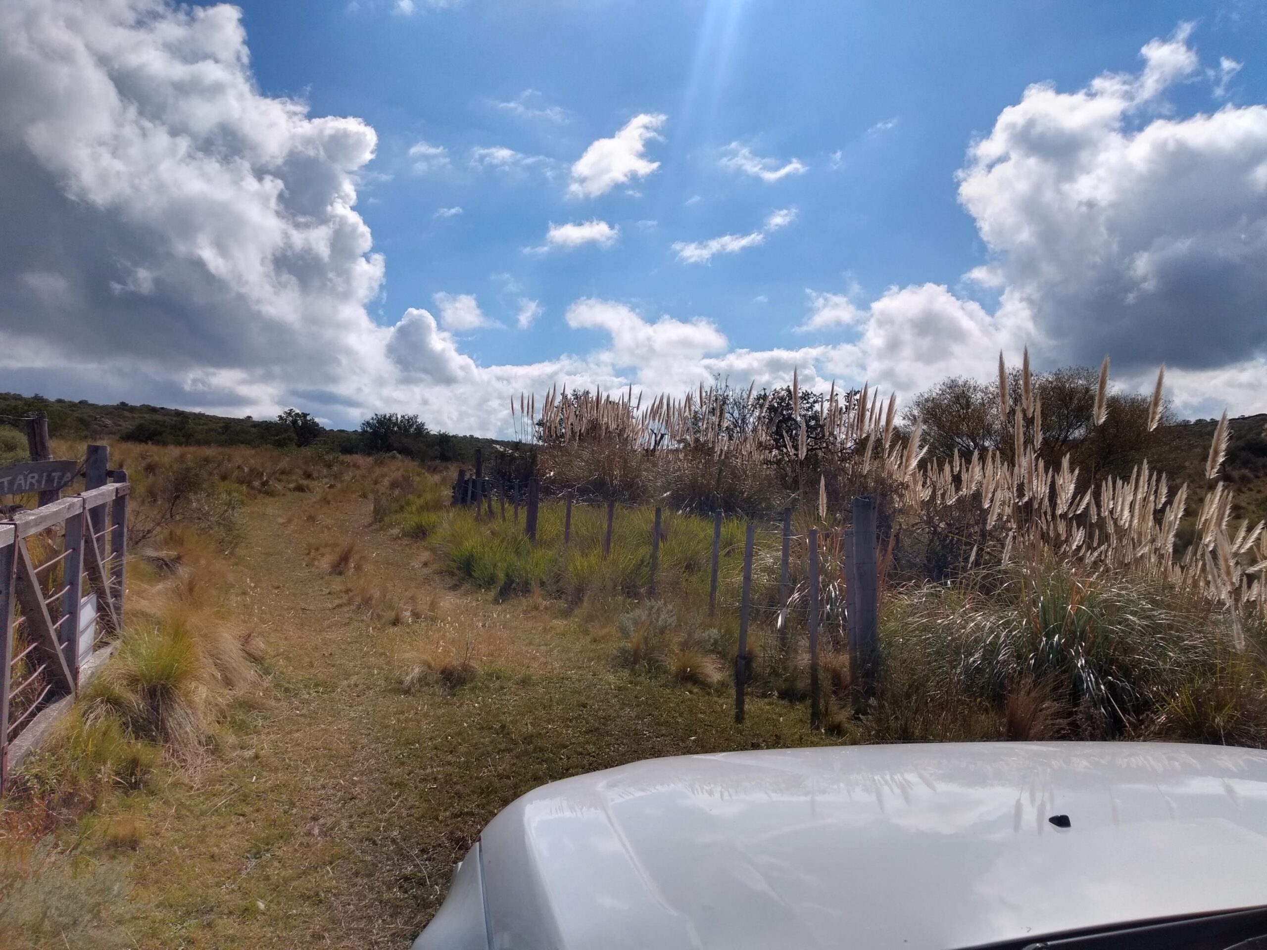 CAMPO GANADERO EN VENTA EN CORDOBA PAMPA DE POCHO TRASLASIERRAS