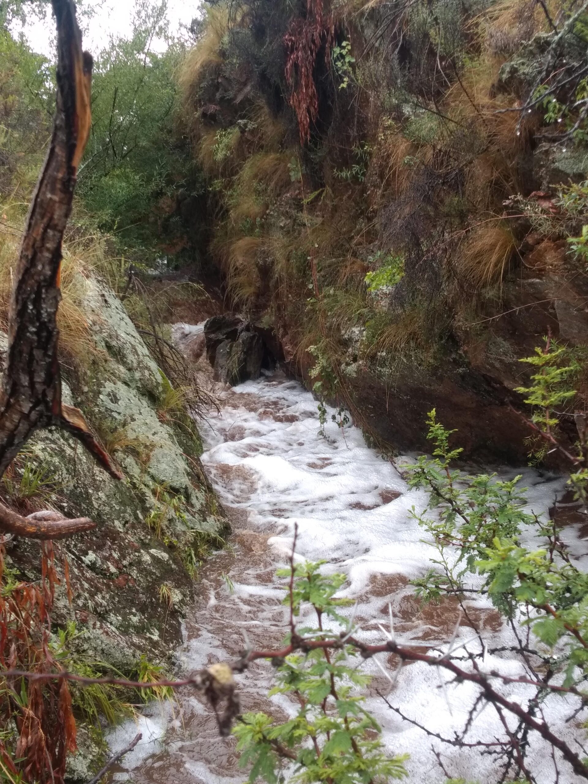 CAMPO GANADERO EN VENTA EN CORDOBA PAMPA DE POCHO TRASLASIERRAS