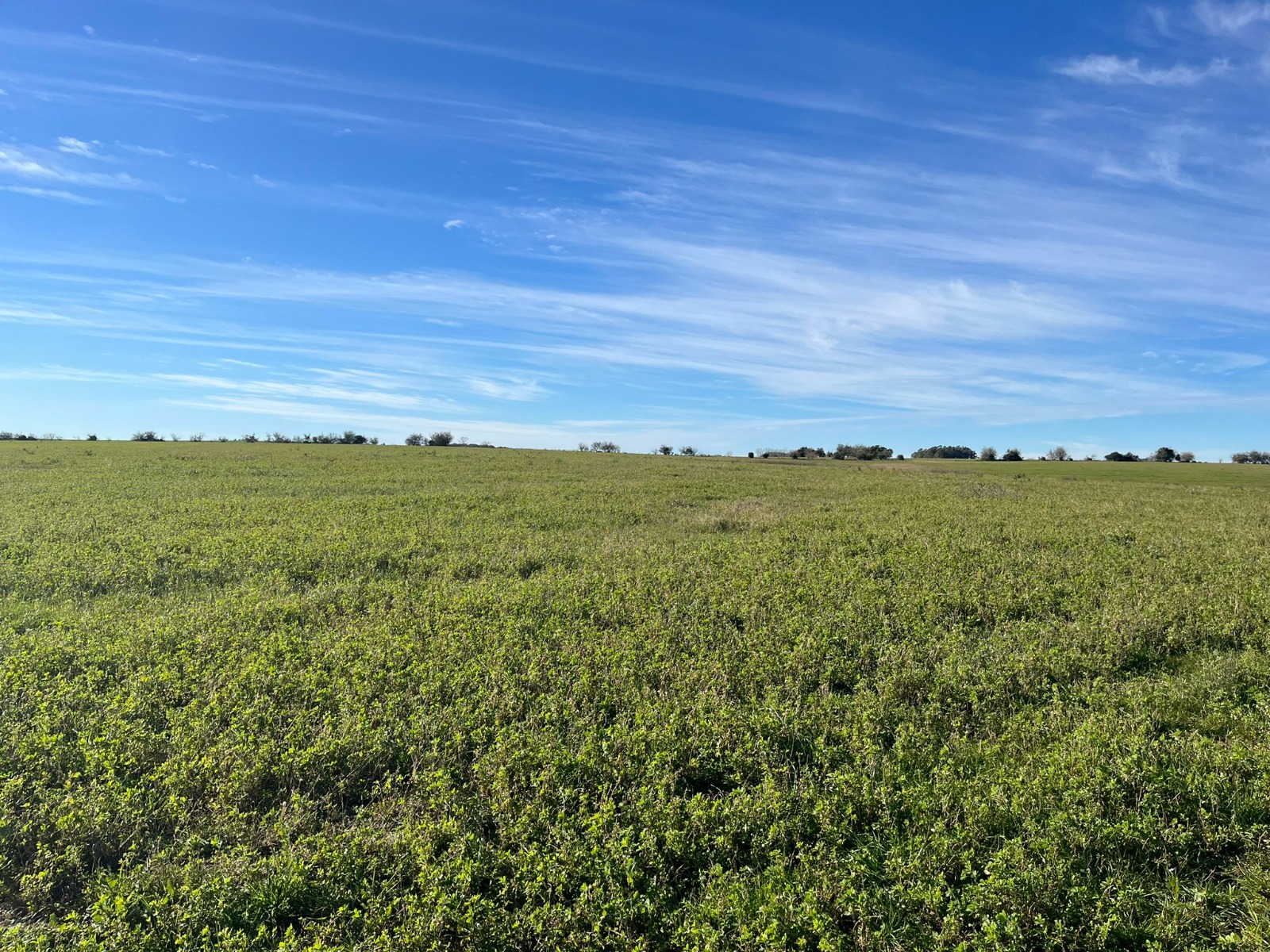 Campo en Venta en Uruguay: Florida