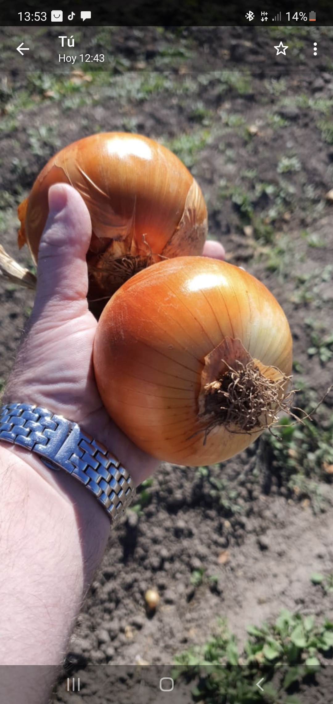 Oportunidad!! En Gral Conesa Chacras En Produccion , Vendo , Permuto, Financio !! DUEÑO DIRECTO